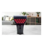 فرش شوی بیسل ProHeat 2X Revolution 2066E