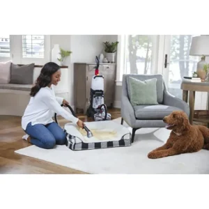 جارو فرش بیسل PowerClean 2X